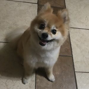 Meet your Posher, Myrna